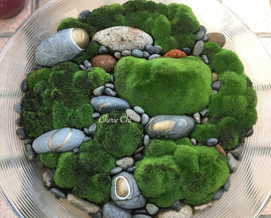 Поделки из мха своими руками