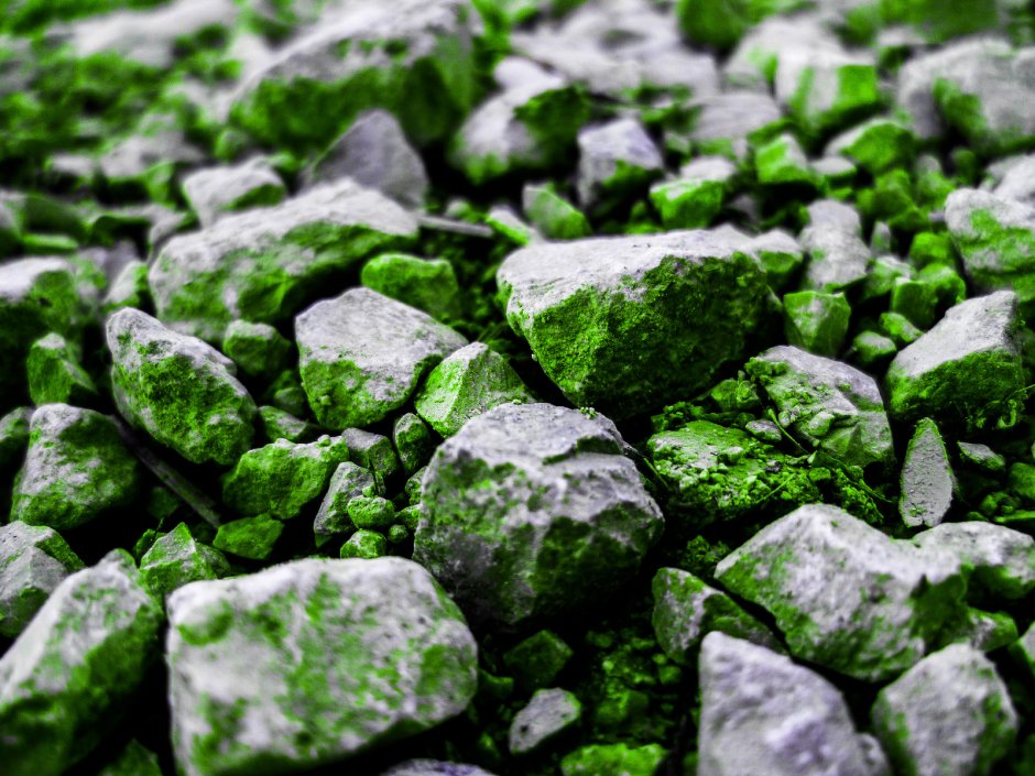 Зелень на камнях