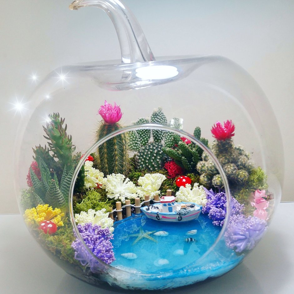 Фитодизайн Суккуленты