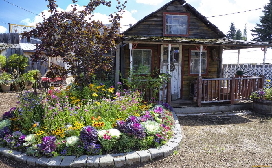 Цветы в палисаде в деревне