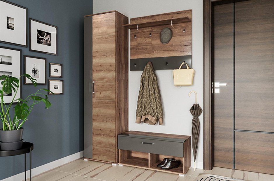 Шкафы в современном стиле с распашными дверями