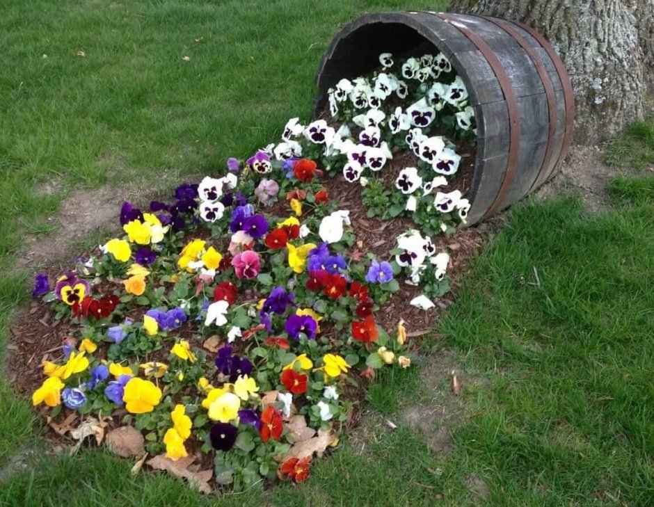 Клумбы во дворе