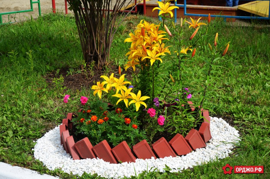 Цветник в детском саду