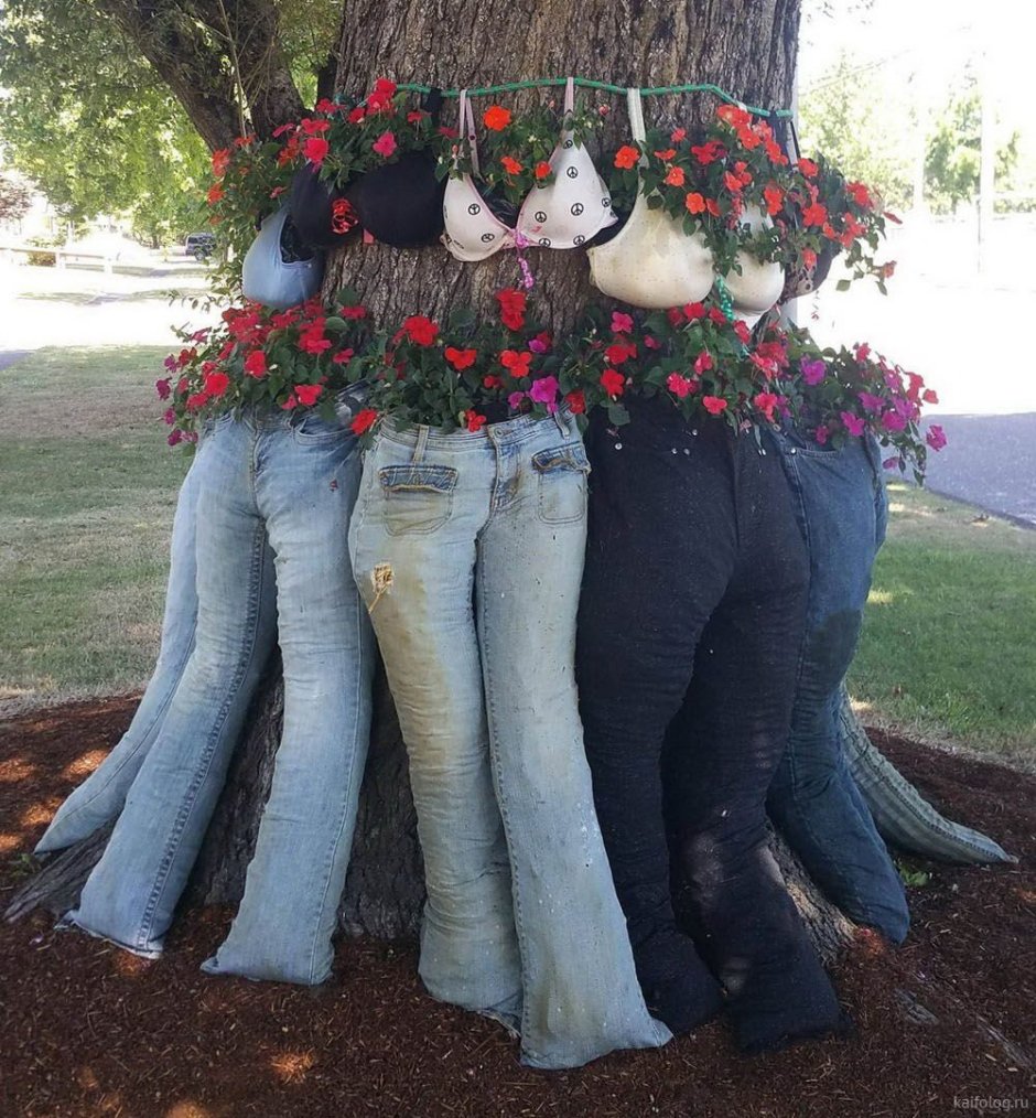 Клумба в джинсах