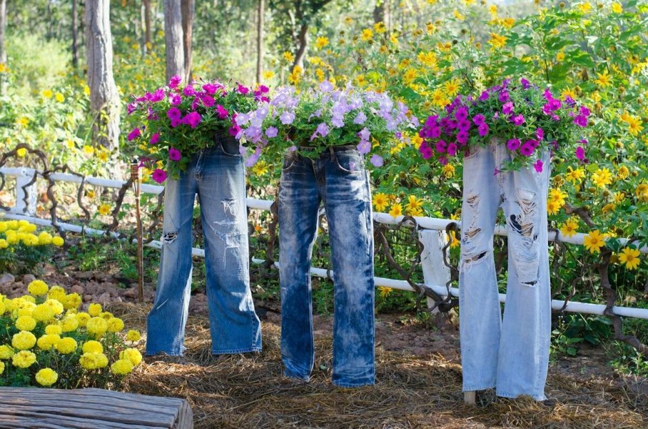 Клумба из петуний