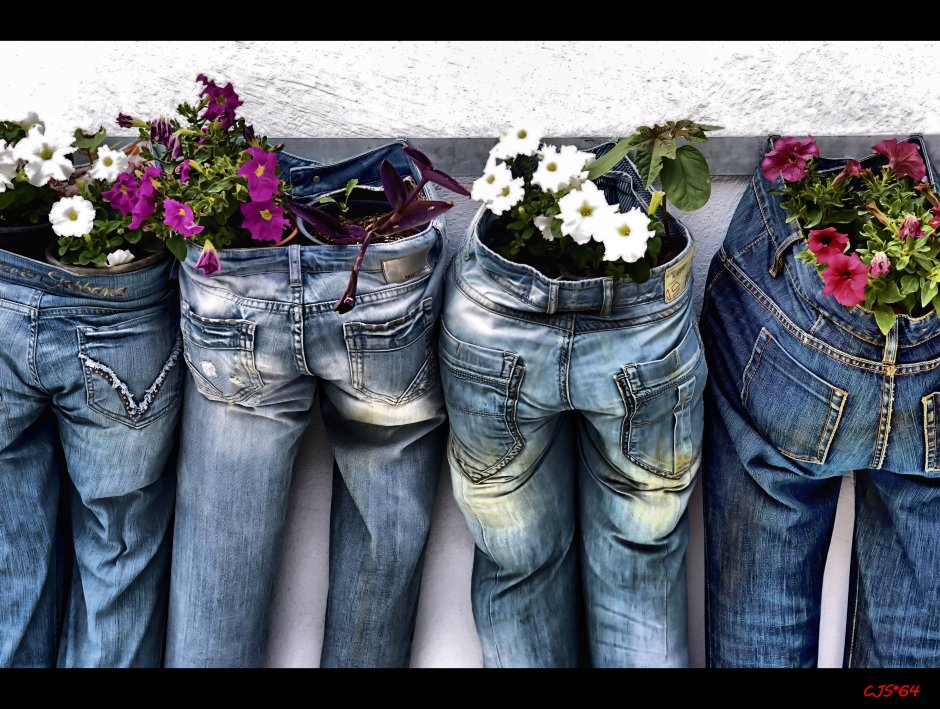 Джинсы в саду