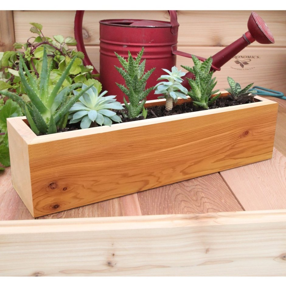 Дизайнерские горшки для цветов из дерева