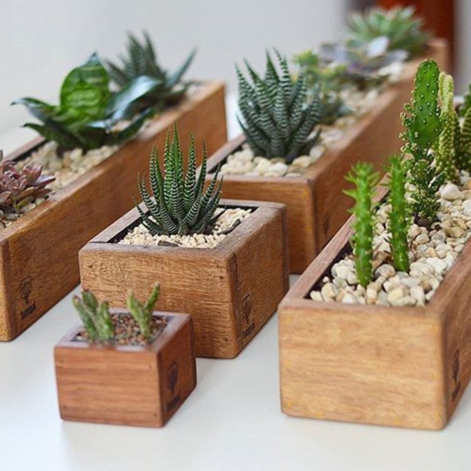 Деревянные Кадки для деревьев