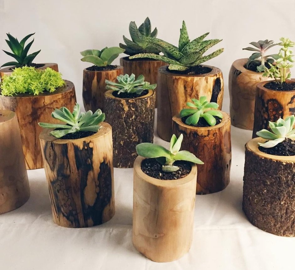 Ящик для рассады из дерева