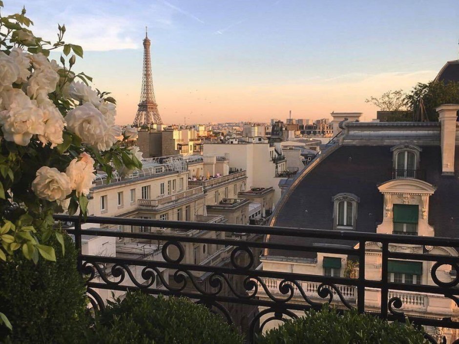 Отель Националь Москва вид с окна