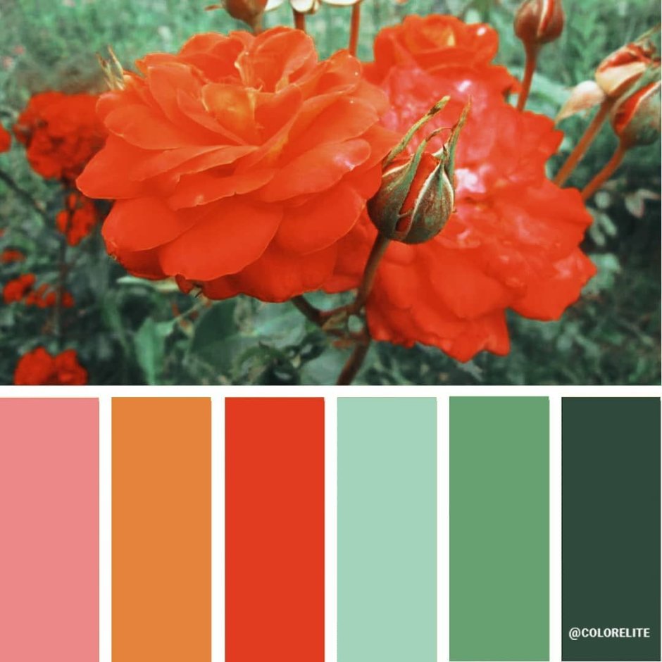 Спальня марсаловых тонах