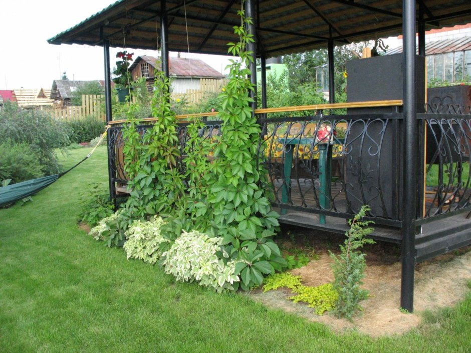 Терраса пергола зона патио