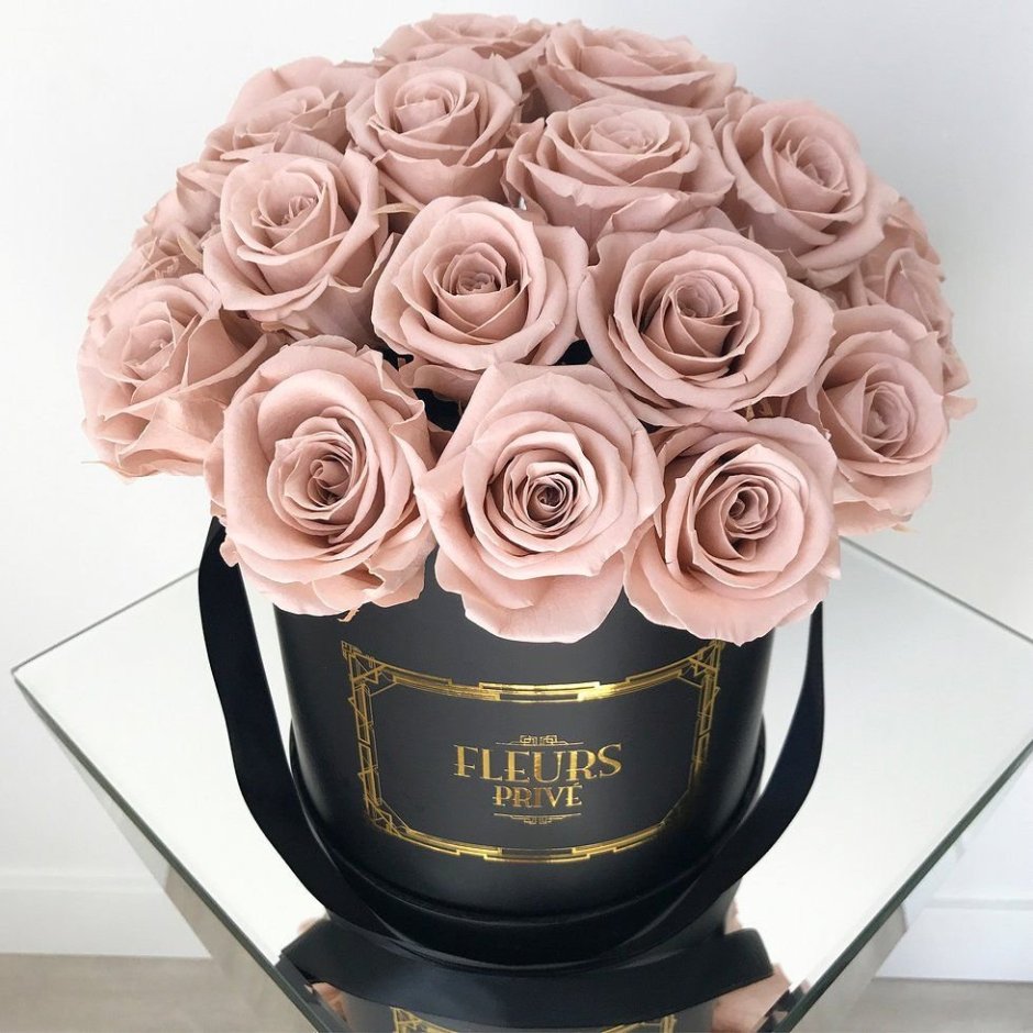 Пудровые розы