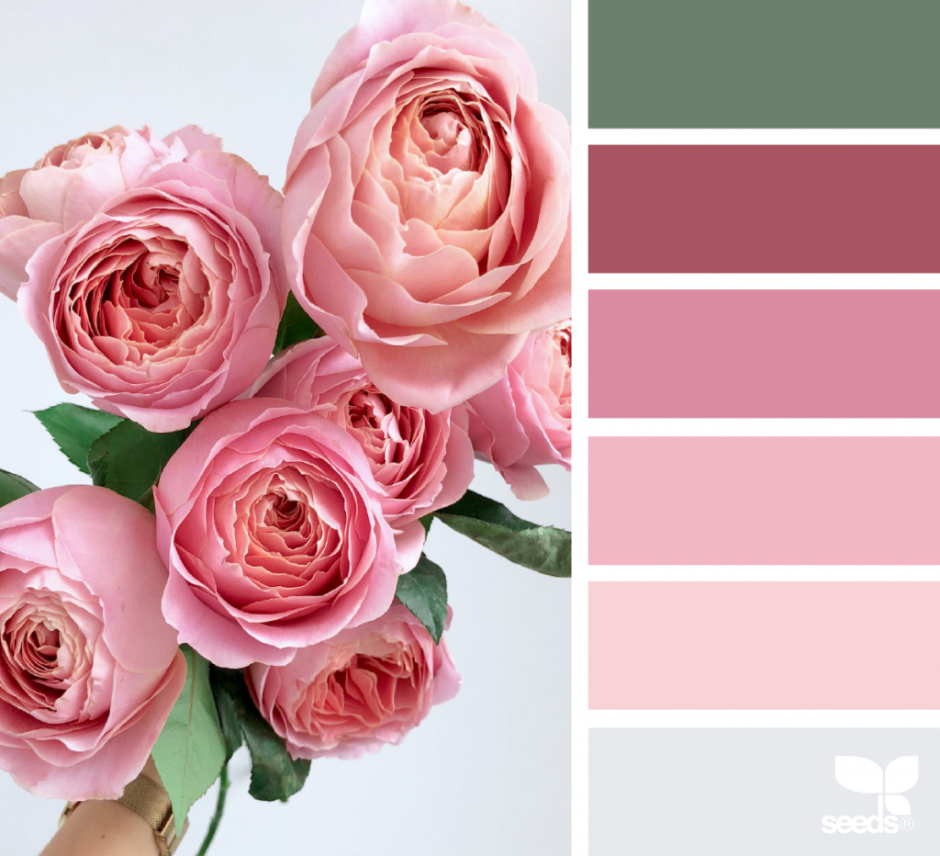 Флетлей косметика в нежных тонах