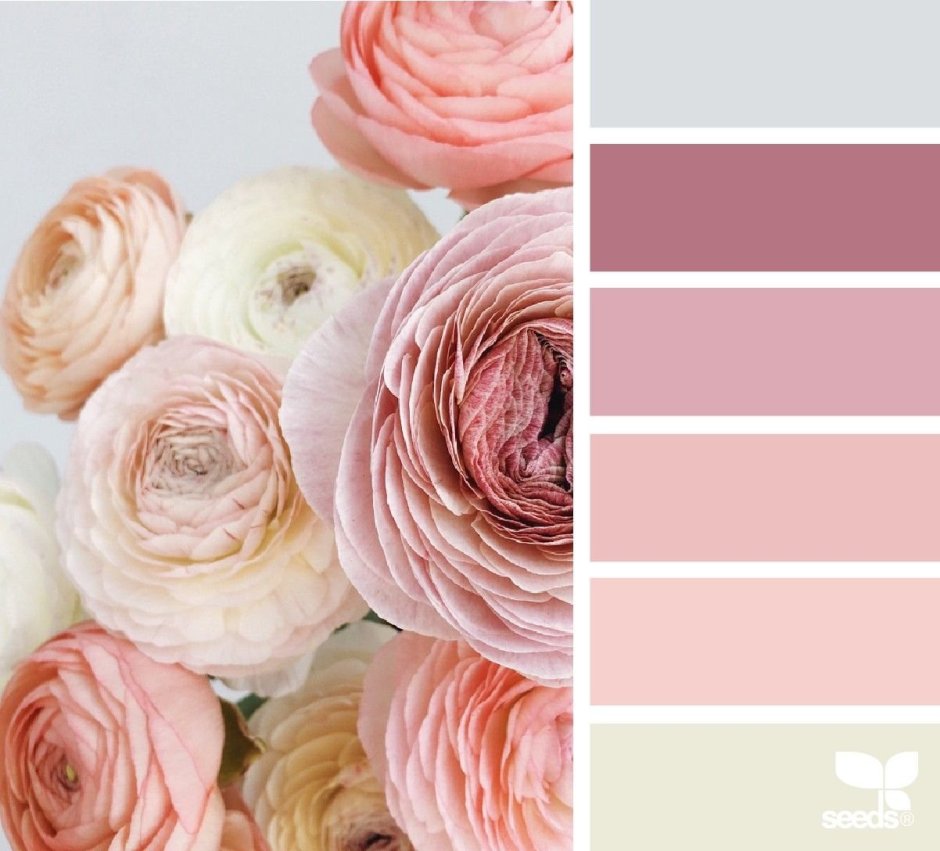Оттенки пыльной розы в палитре