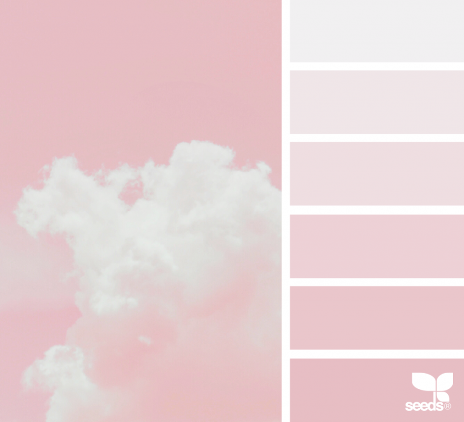 Бледно-розовый цвет