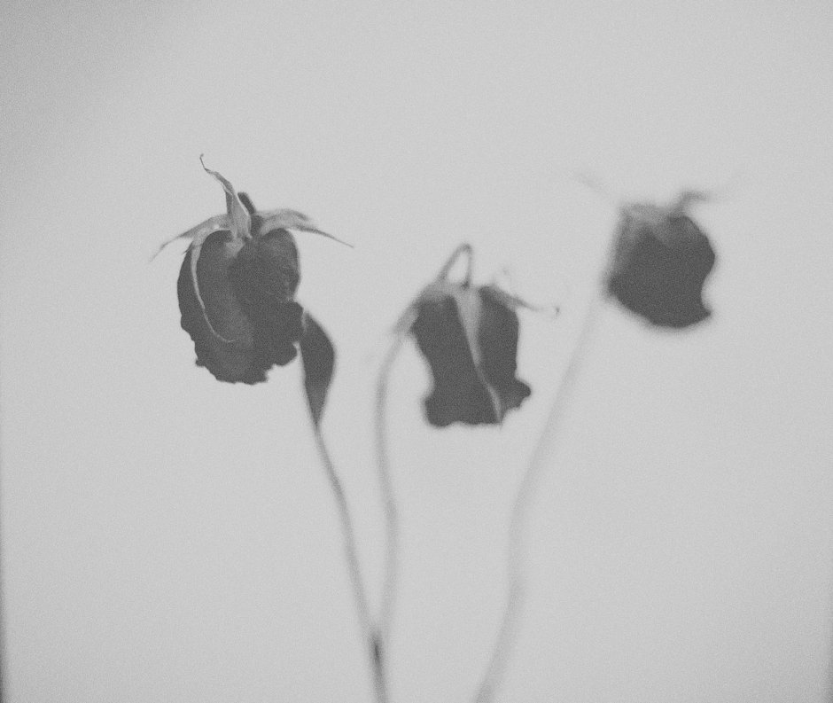 Черно белые картинки Эстетика