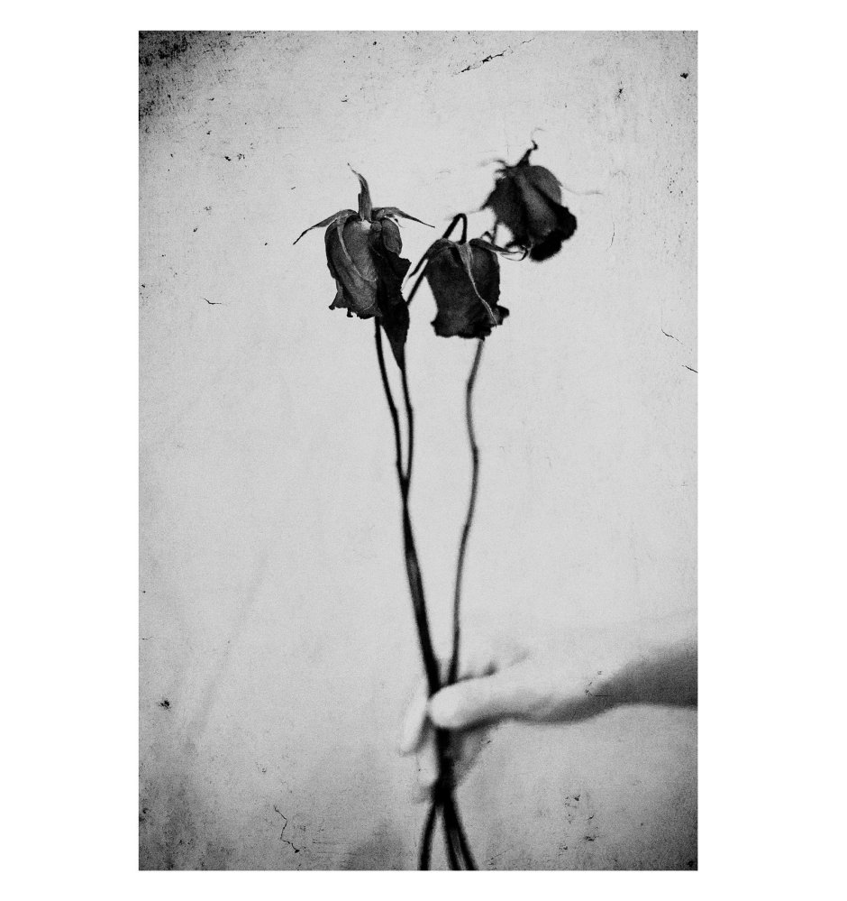 Чёрно-белая Эстетика