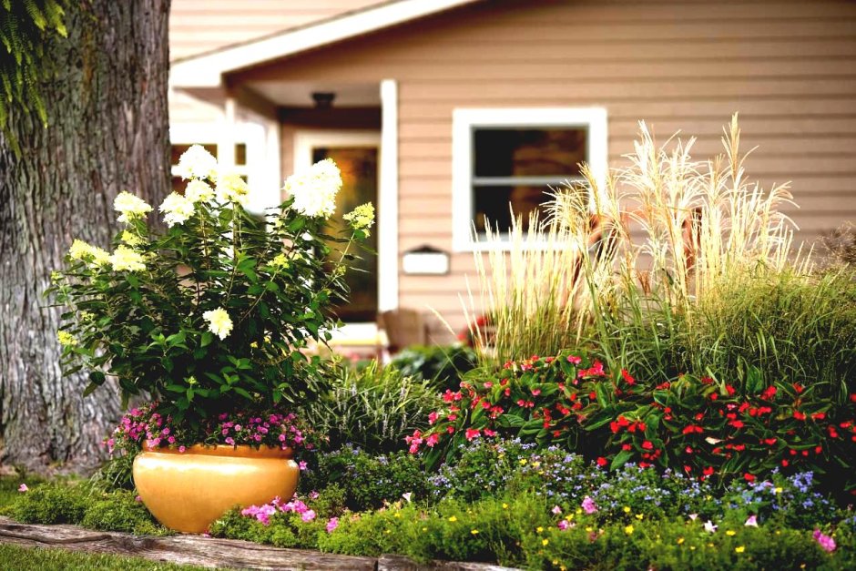 Сибирский палисадник