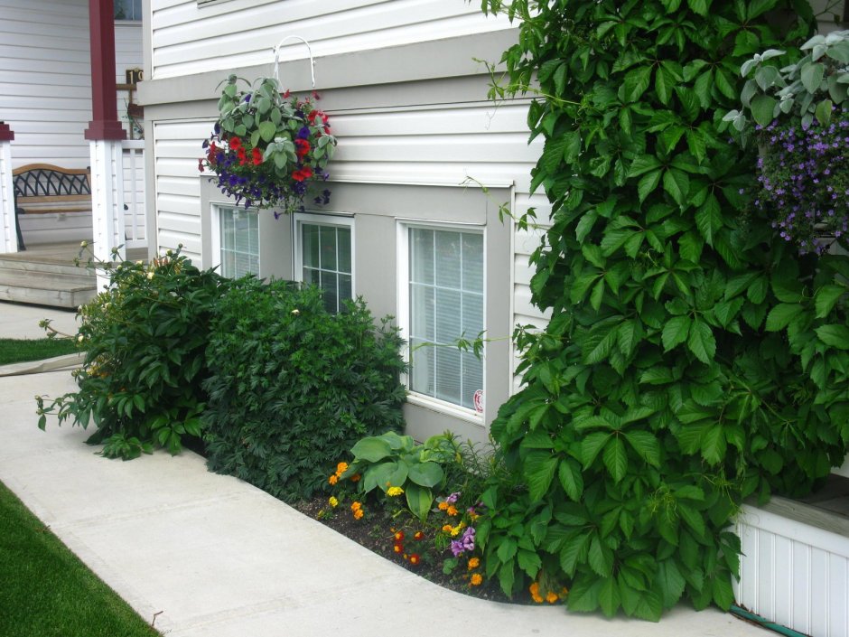 Клумба перед окном