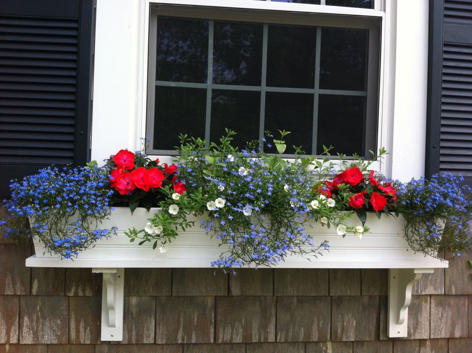 Клумба под окном