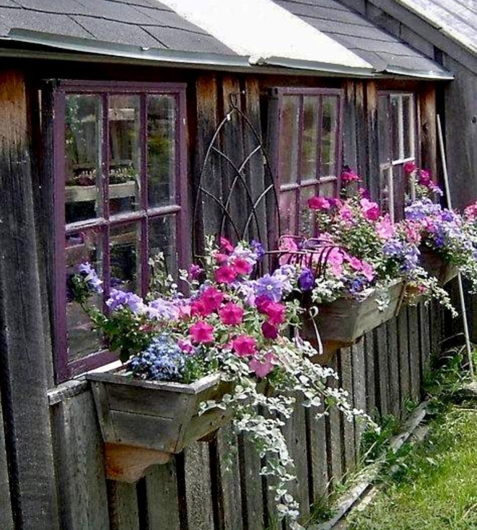 Рокарий с гортензиями и хвойниками