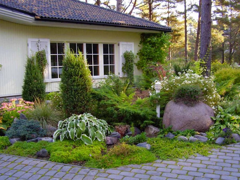 Палисадник Энфилд