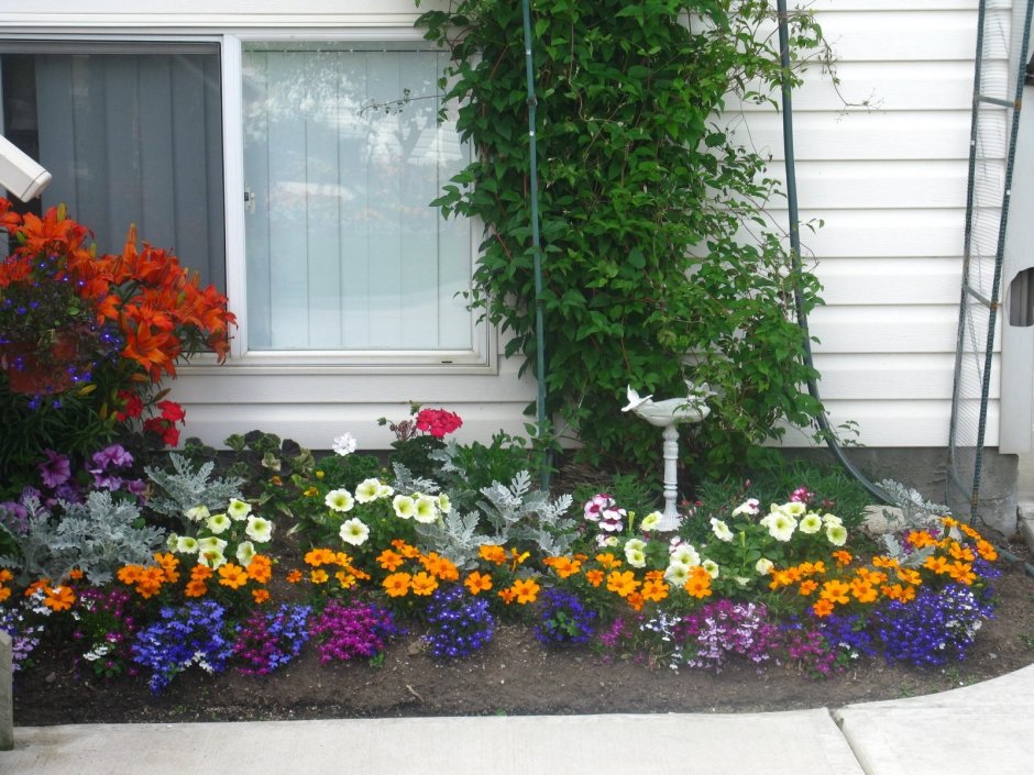 Цветы перед крыльцом
