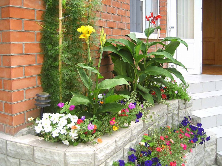 Хвойный палисадник