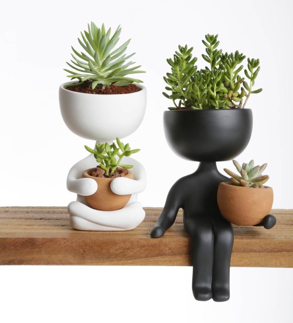 Растение в горшке арт