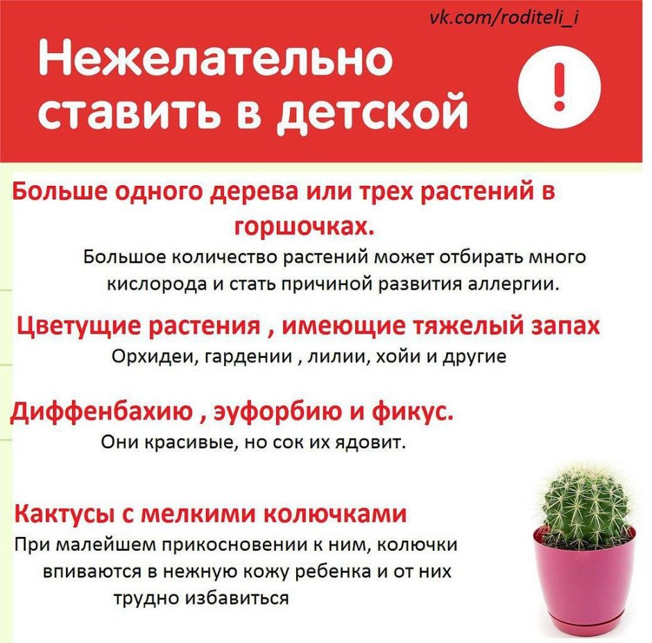 Нарисовать комнатный цветок