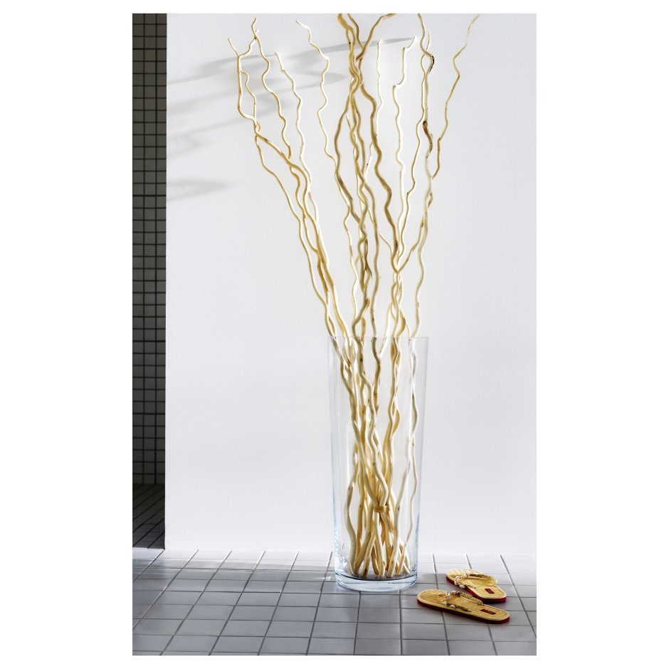 Ветки Корилус икеа