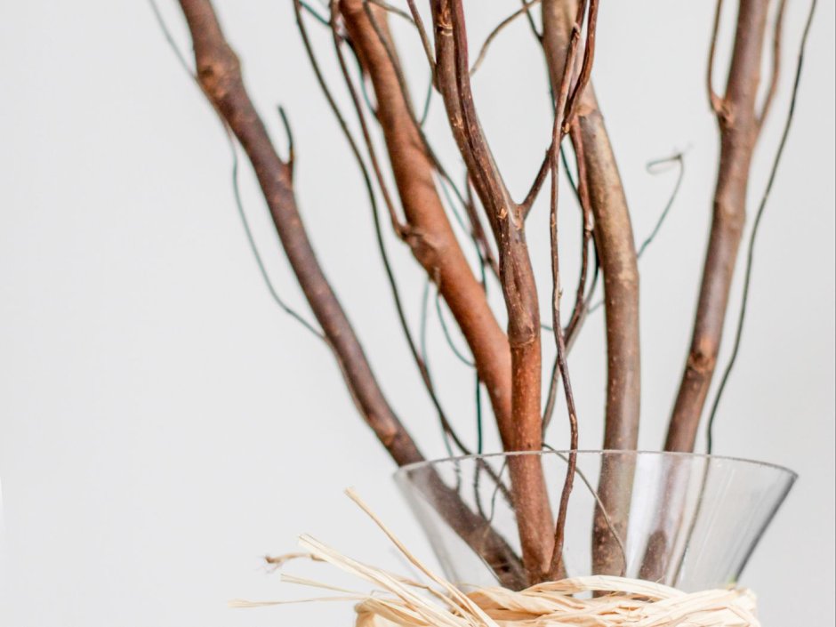 Ветки в вазе 3д модель