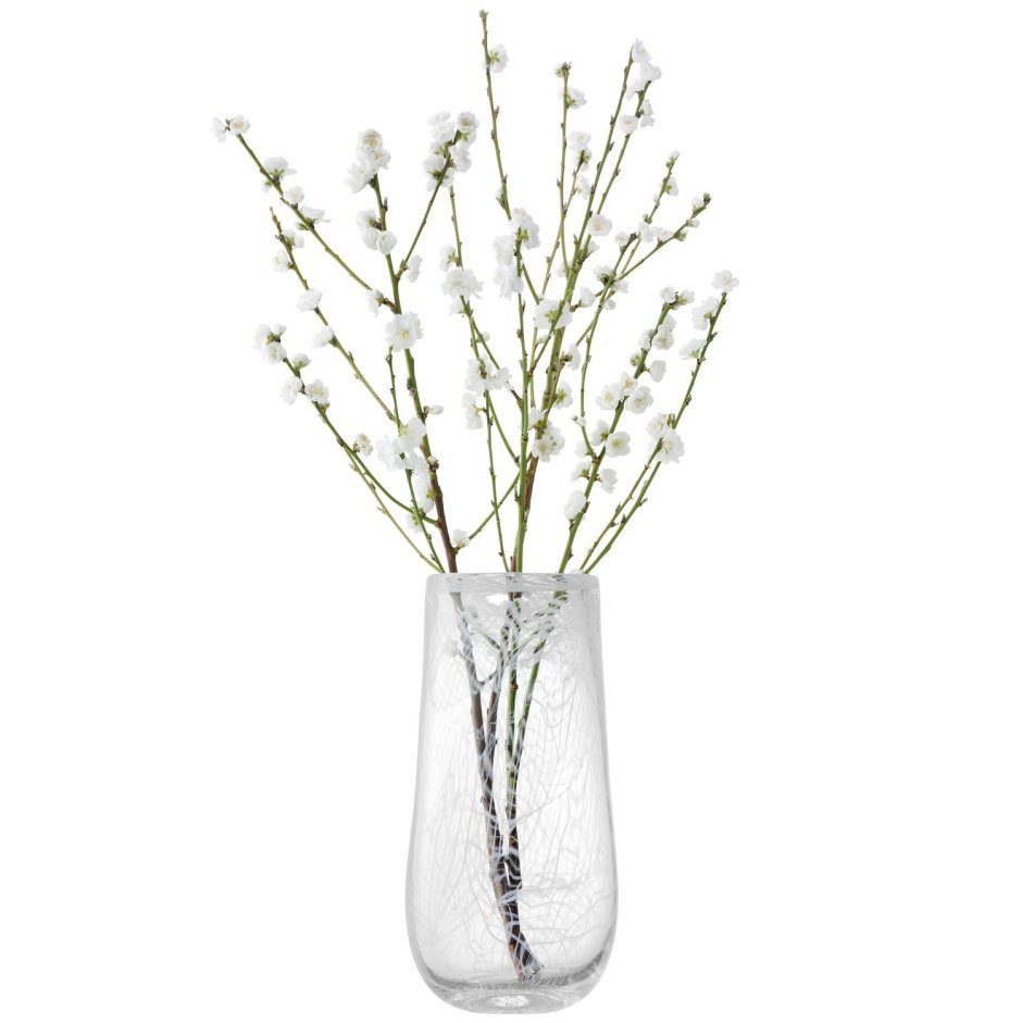 Ветки в вазе