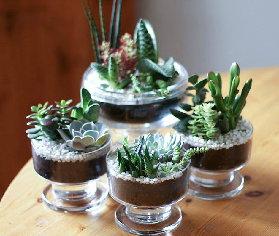 Lechuza Mini Deltini