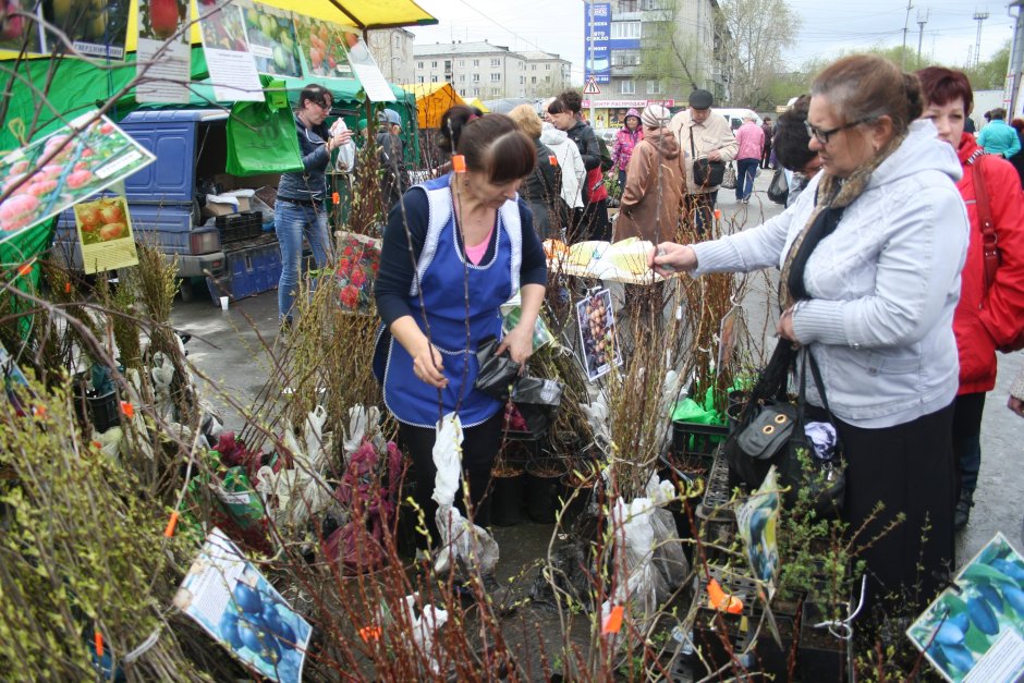 Ярмарка сад огород