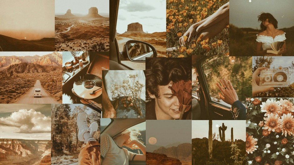 Нежные цветы в пастельных тонах