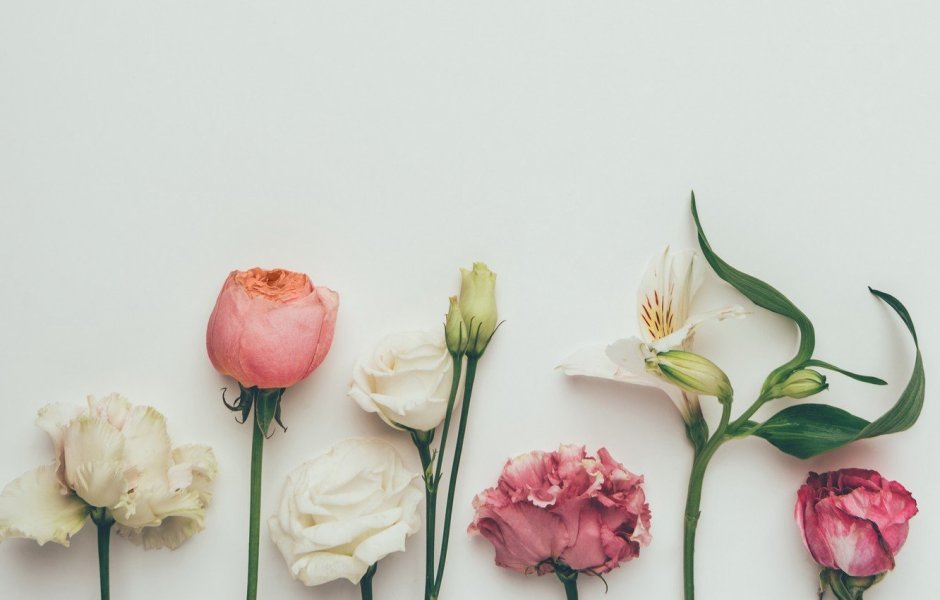 Черно белый коллаж