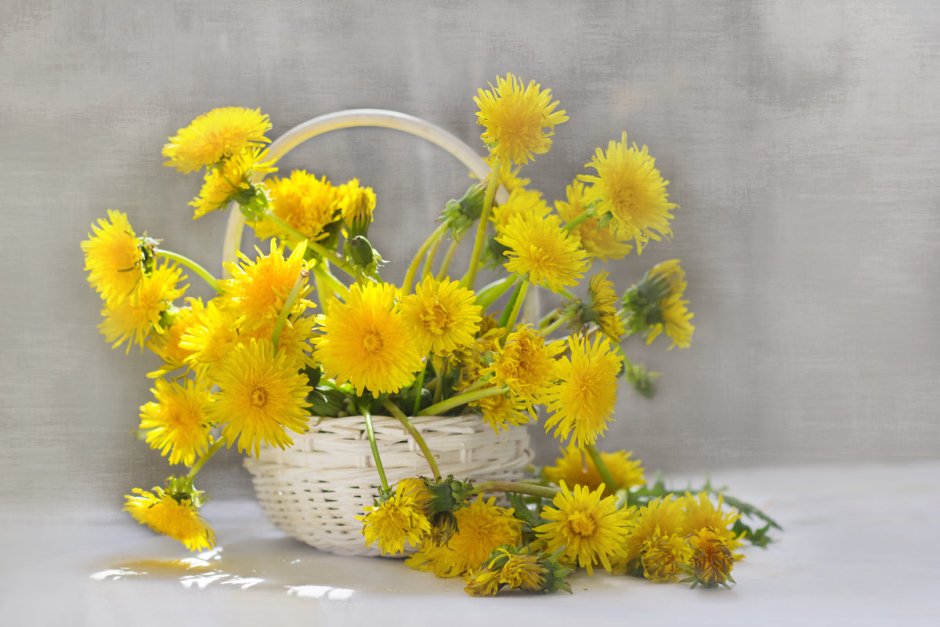 Солнечный букет одуванчиков