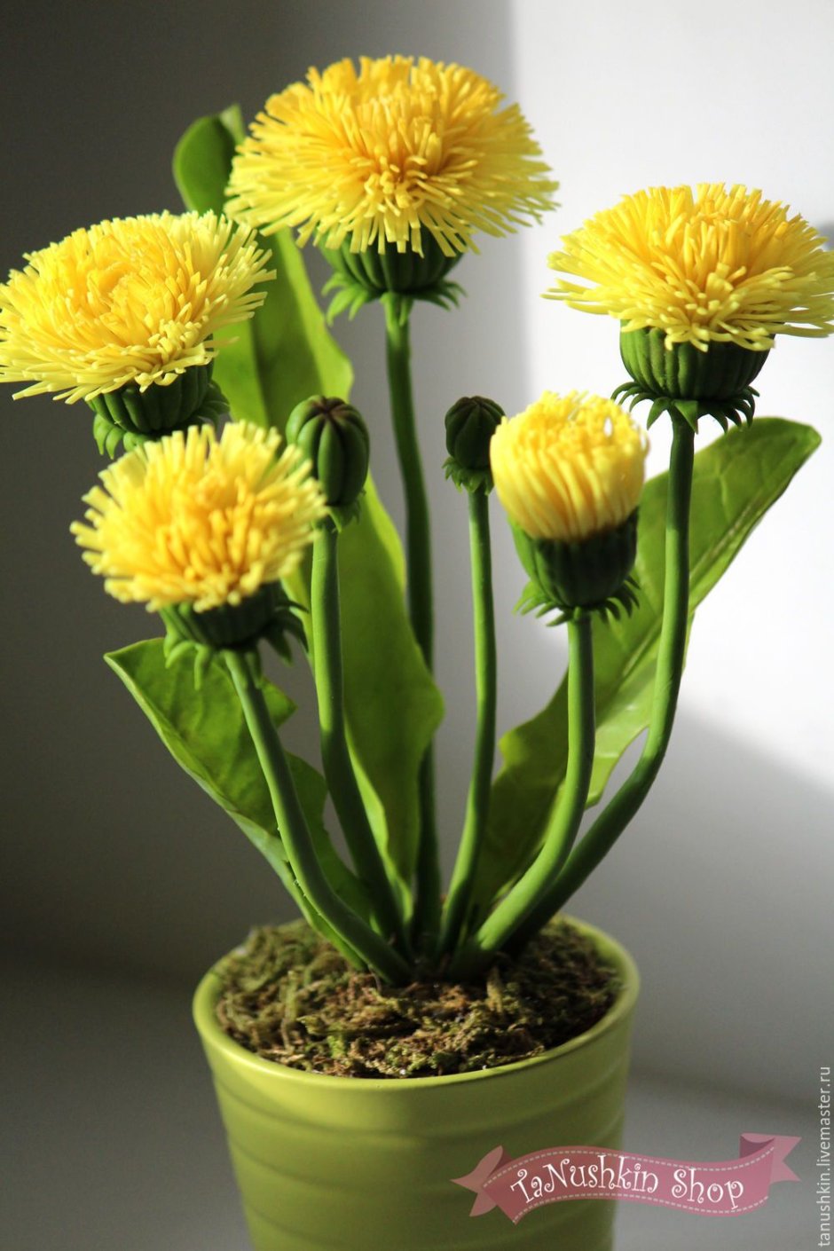 Одуванчик в горшке