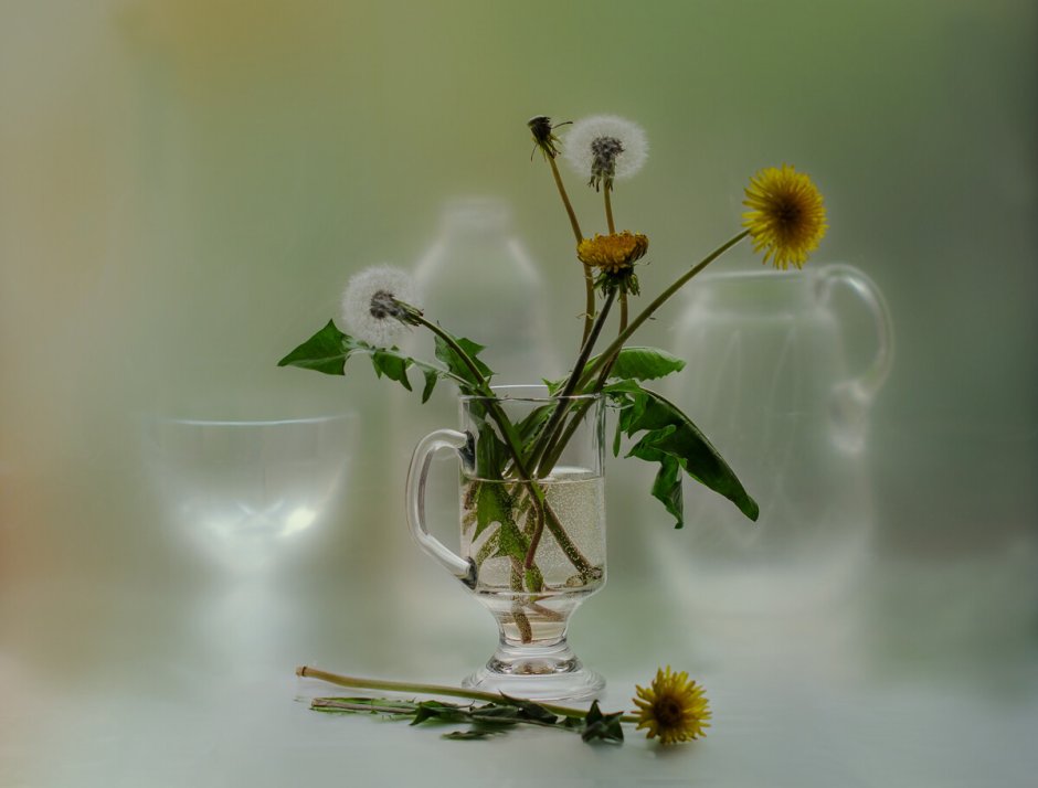 Константин Бальмонт седой одуванчик