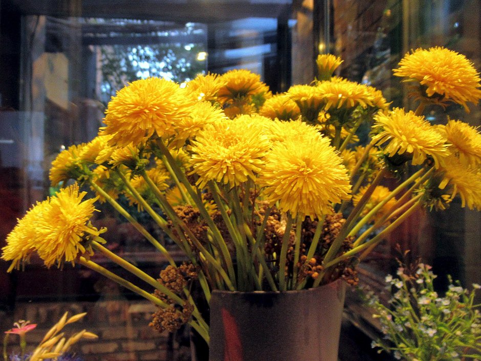 Огромный букет из одуванчиков