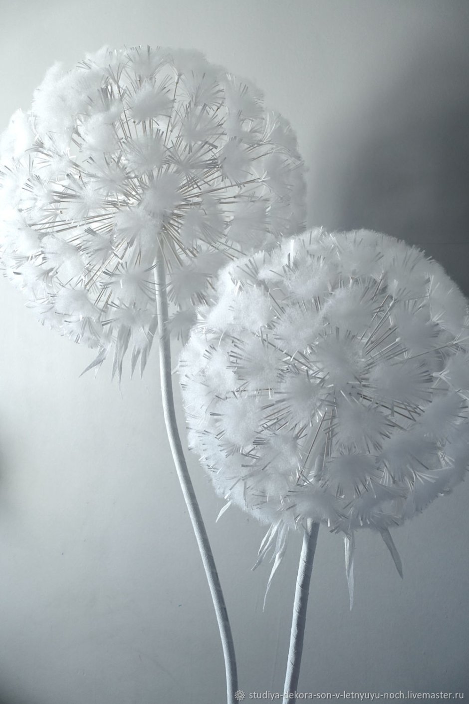 Ростовые одуванчики