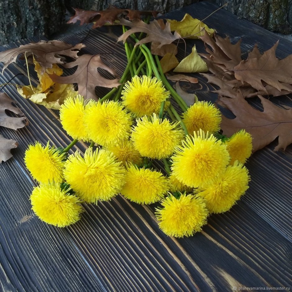 Красивый букет из одуванчиков
