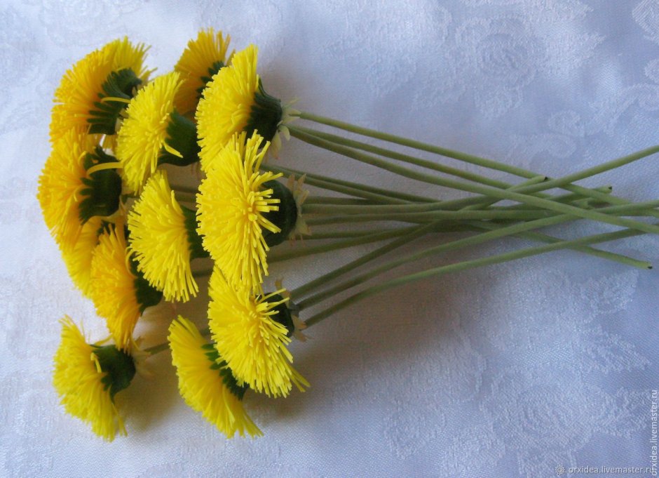 Сухие одуванчики букет