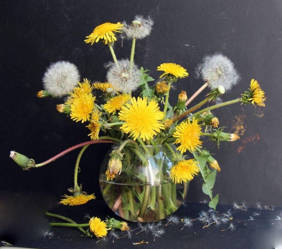 Одуванчики пастель Марина Юкиш