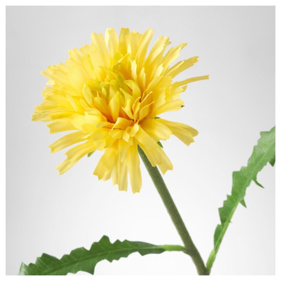 Искусственные цветы одуванчики