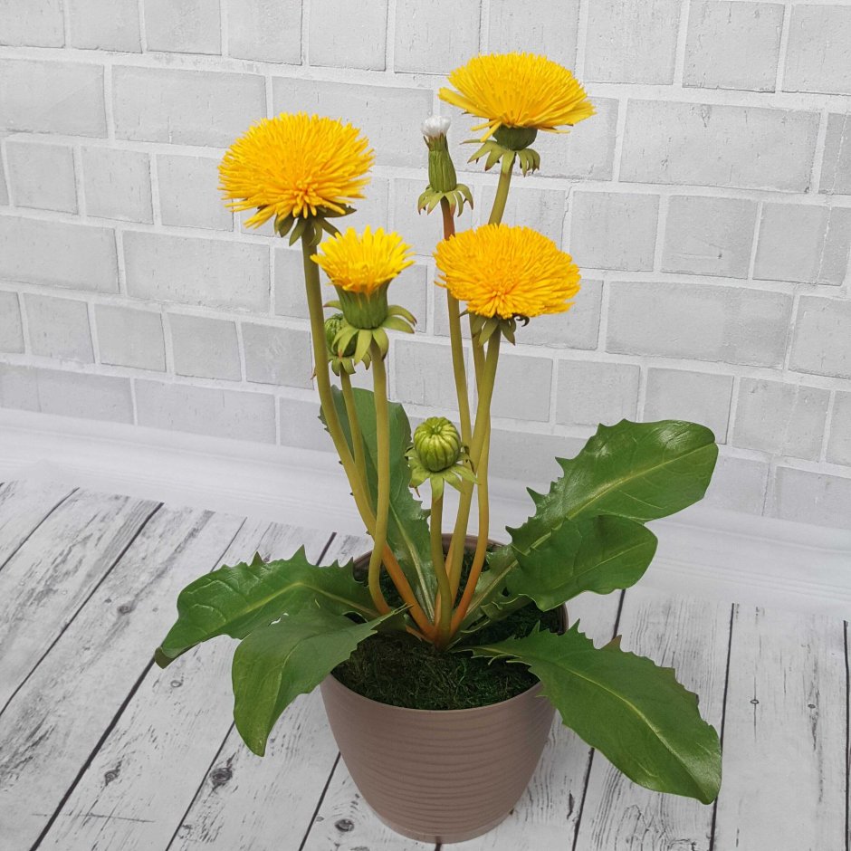 Вязаный одуванчик в горшочке