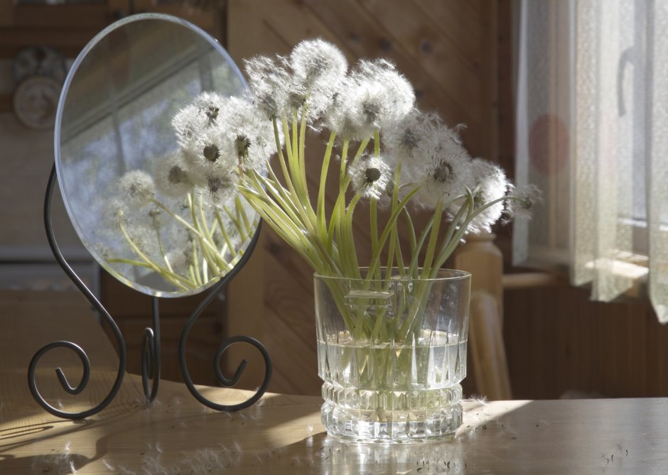 Грегори Ван Раалте современный американский художник, одуванчики