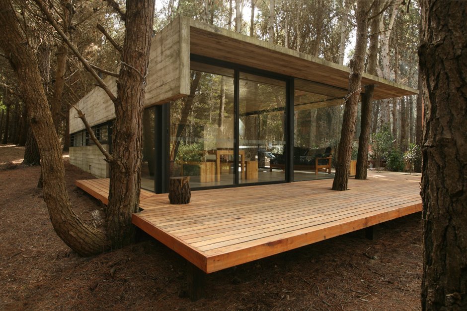 Веранда вокруг дерева